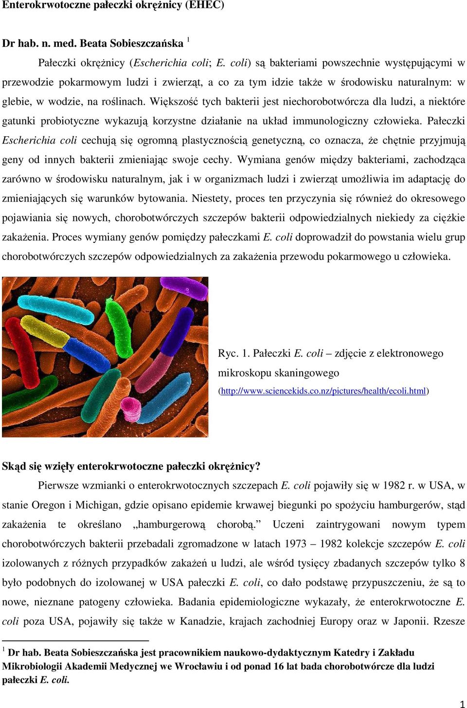 Większość tych bakterii jest niechorobotwórcza dla ludzi, a niektóre gatunki probiotyczne wykazują korzystne działanie na układ immunologiczny człowieka.