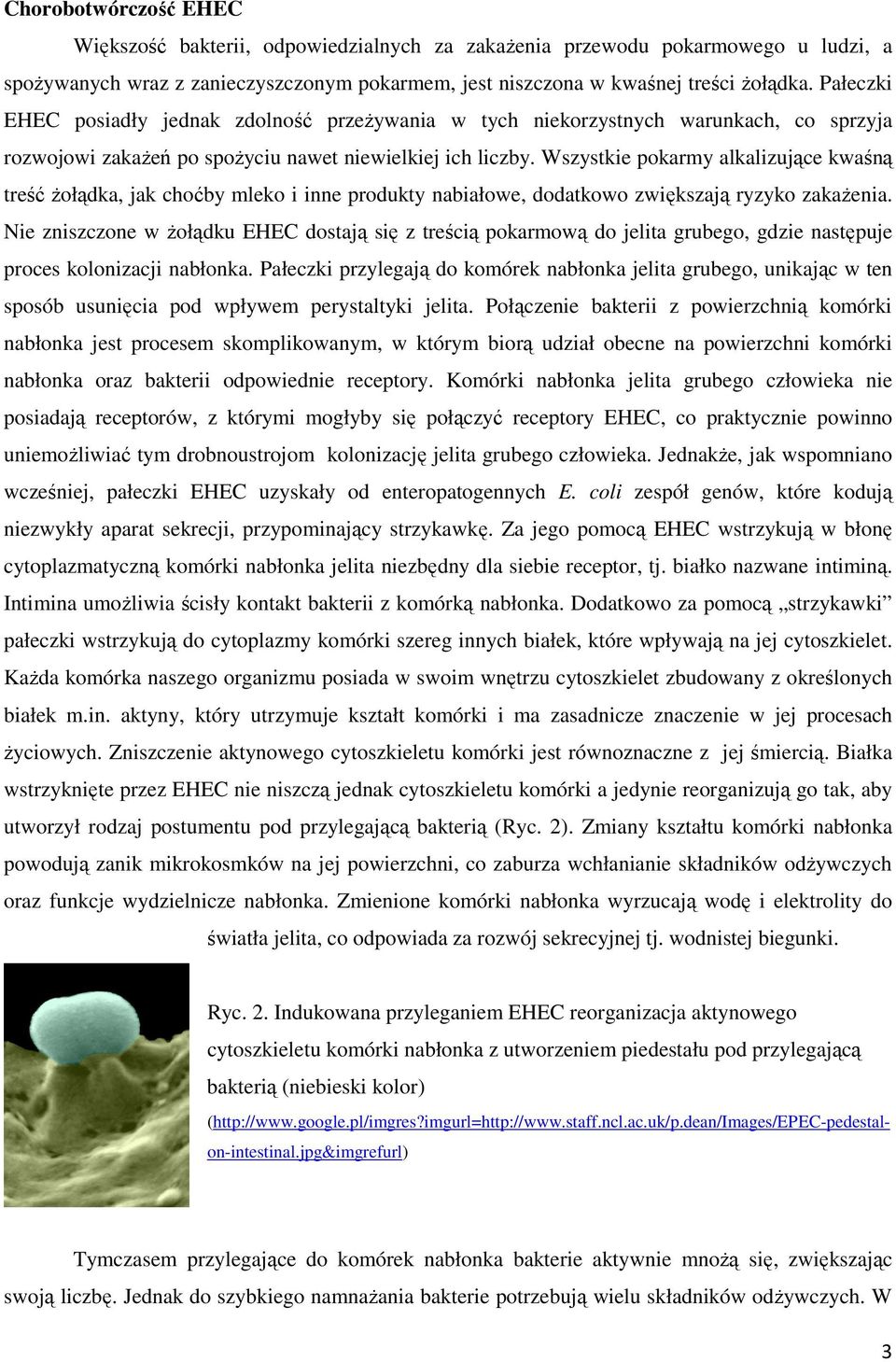 Wszystkie pokarmy alkalizujące kwaśną treść żołądka, jak choćby mleko i inne produkty nabiałowe, dodatkowo zwiększają ryzyko zakażenia.