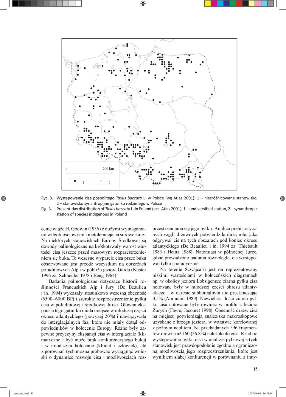 Godwin (1956) z dużymi wymaganiami wilgotnościowymi i nietolerancją na surowe zimy.