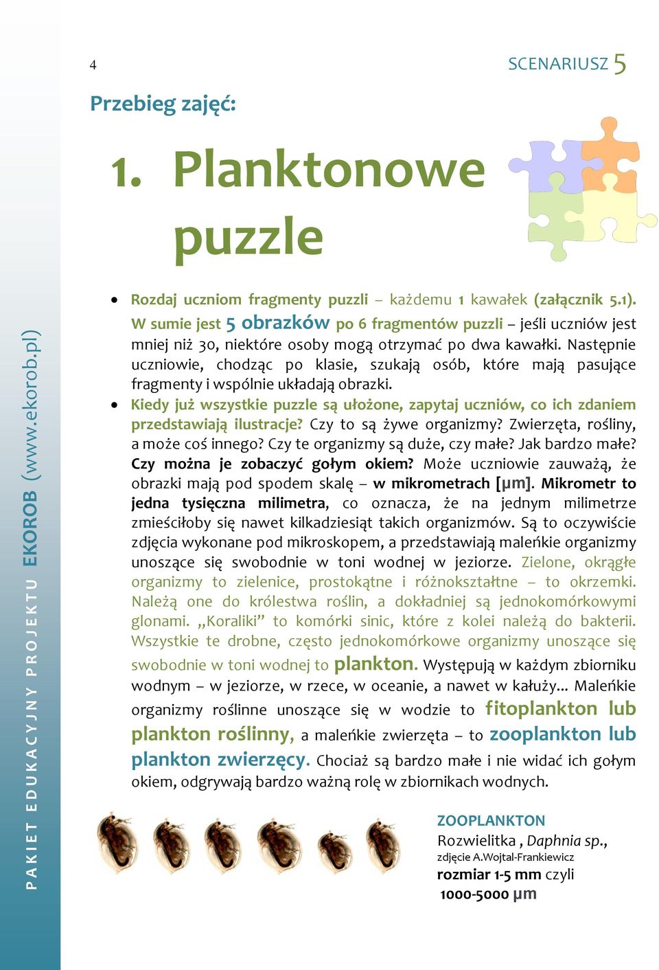 Następnie uczniowie, chodząc po klasie, szukają osób, które mają pasujące fragmenty i wspólnie układają obrazki.