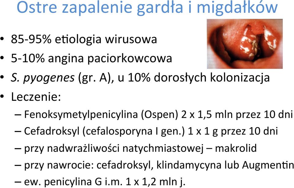 A), u 10% dorosłych kolonizacja Leczenie: Fenoksymetylpenicylina (Ospen) 2 x 1,5 mln przez 10 dni