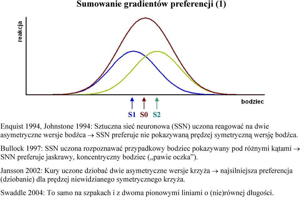 Bullock 1997: SSN uczona rozpoznawać przypadkowy bodziec pokazywany pod różnymi kątami SNN preferuje jaskrawy, koncentryczny bodziec ( pawie oczka ).