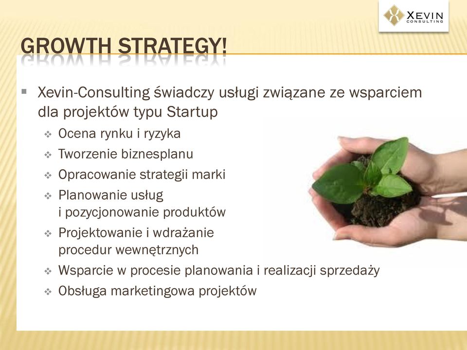 usług i pozycjonowanie produktów Projektowanie i wdrażanie procedur wewnętrznych