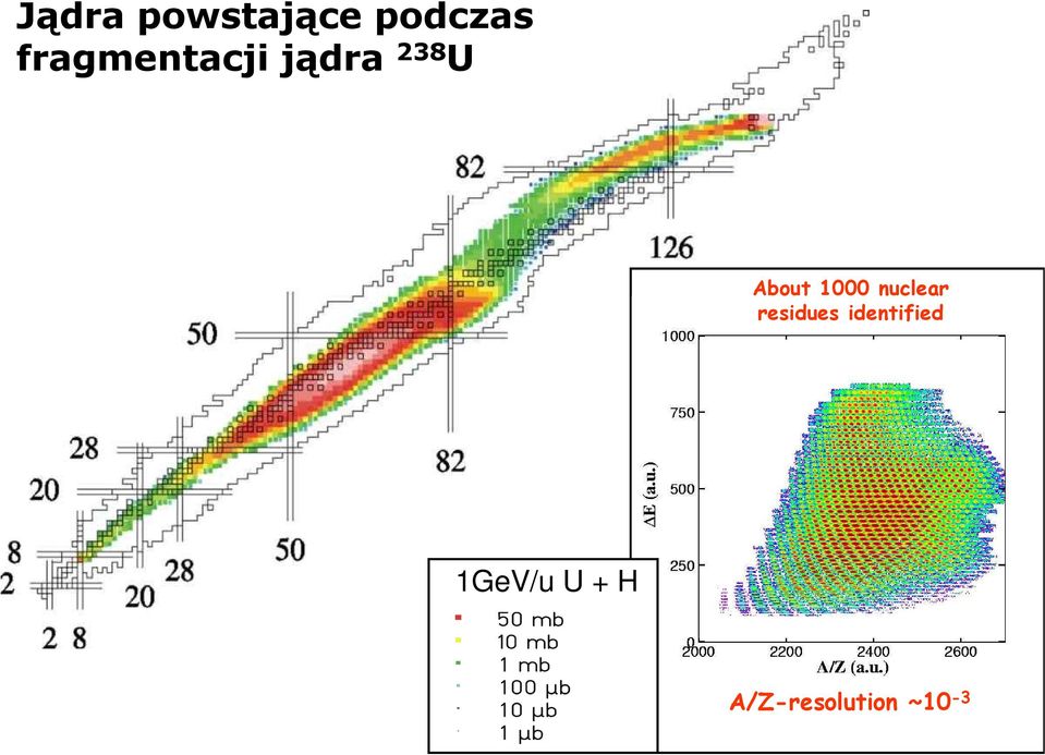 nuclei from FRS About 1000 nuclear