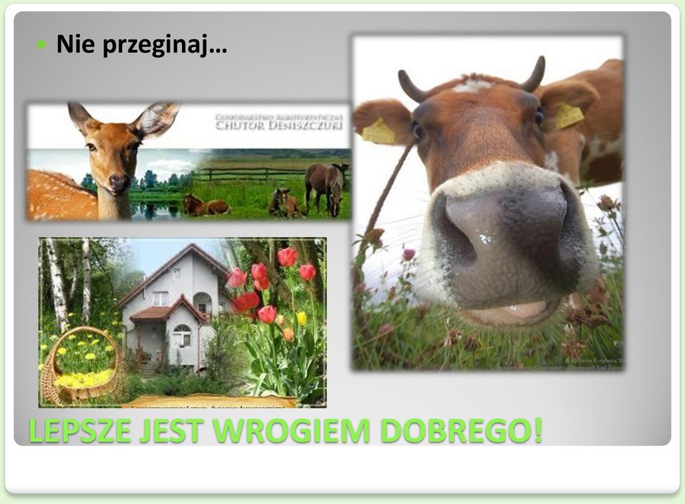 LEPSZE