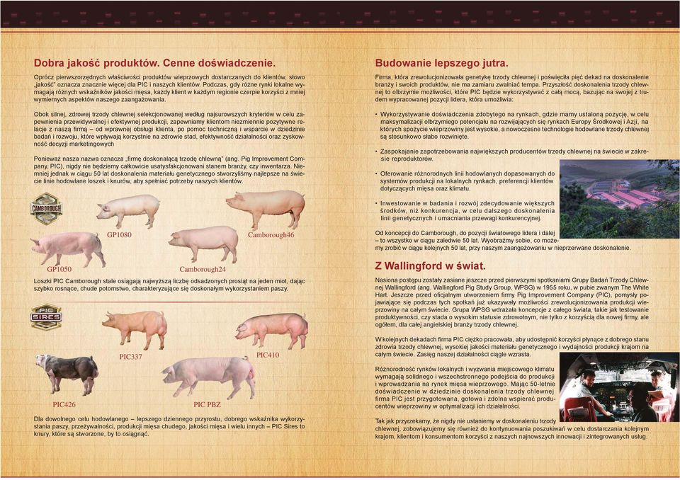 Obok silnej, zdrowej trzody chlewnej selekcjonowanej według najsurowszych kryteriów w celu zapewnienia przewidywalnej i efektywnej produkcji, zapewniamy klientom niezmiennie pozytywne relacje z naszą