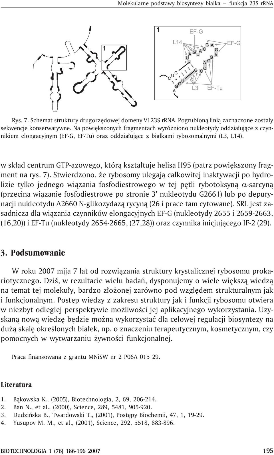 w sk³ad centrum GTP-azowego, któr¹ kszta³tuje helisa H95 (patrz powiêkszony fragment na rys. 7).