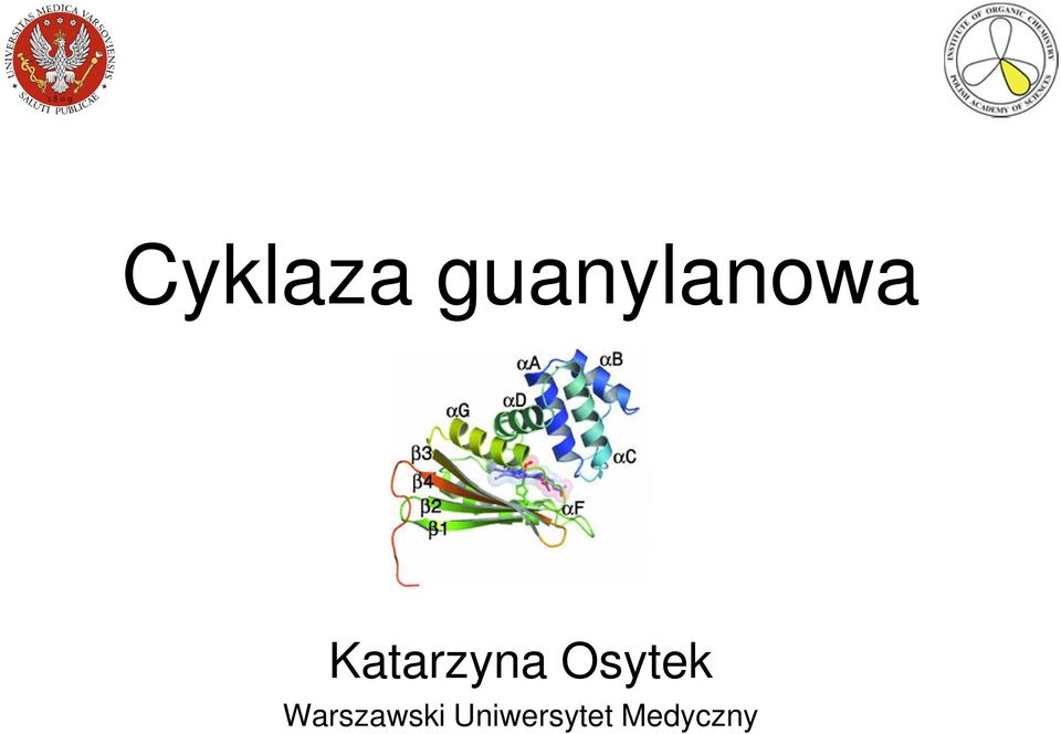Katarzyna Osytek