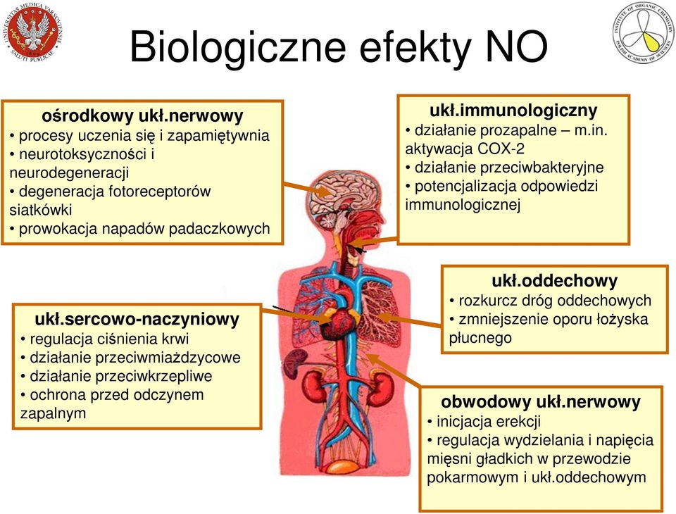 immunologiczny działanie prozapalne m.in. aktywacja COX-2 działanie przeciwbakteryjne potencjalizacja odpowiedzi immunologicznej ukł.