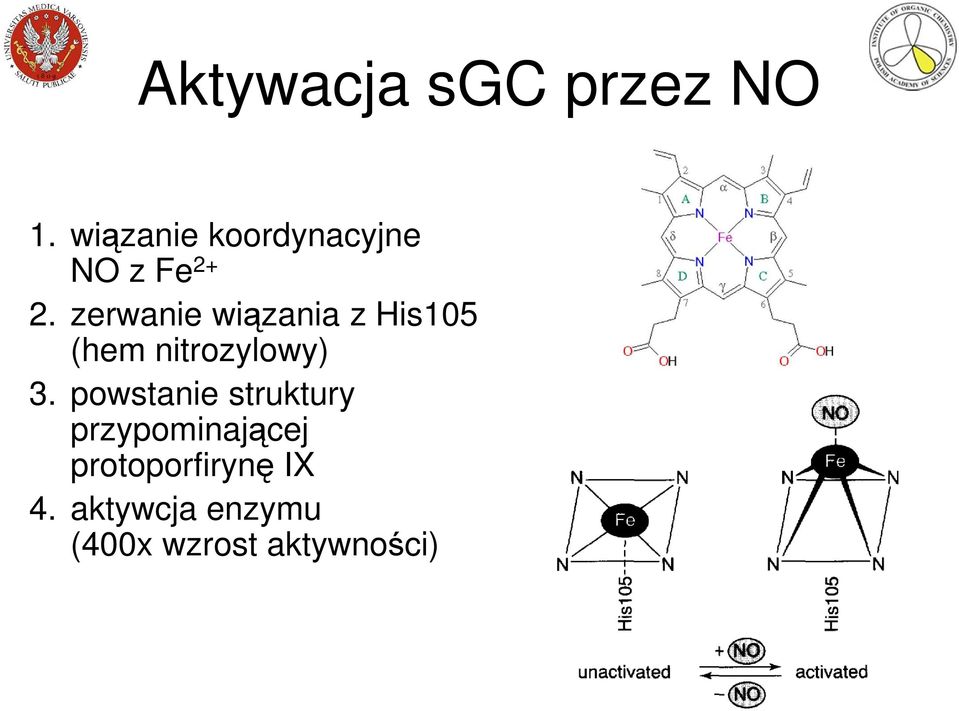 zerwanie wiązania z His105 (hem nitrozylowy) 3.