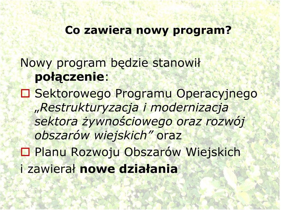 Operacyjnego Restrukturyzacja i modernizacja sektora