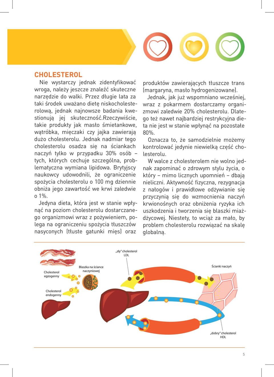 rzeczywiście, takie produkty jak masło śmietankowe, wątróbka, mięczaki czy jajka zawierają dużo cholesterolu.