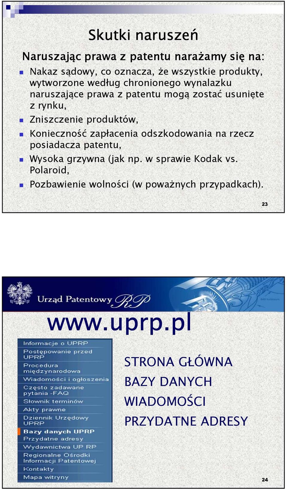 produktów, Konieczność zapłacenia odszkodowania na rzecz posiadacza patentu, Wysoka grzywna (jak np.