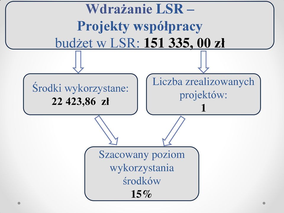 423,86 zł Liczba zrealizowanych projektów: