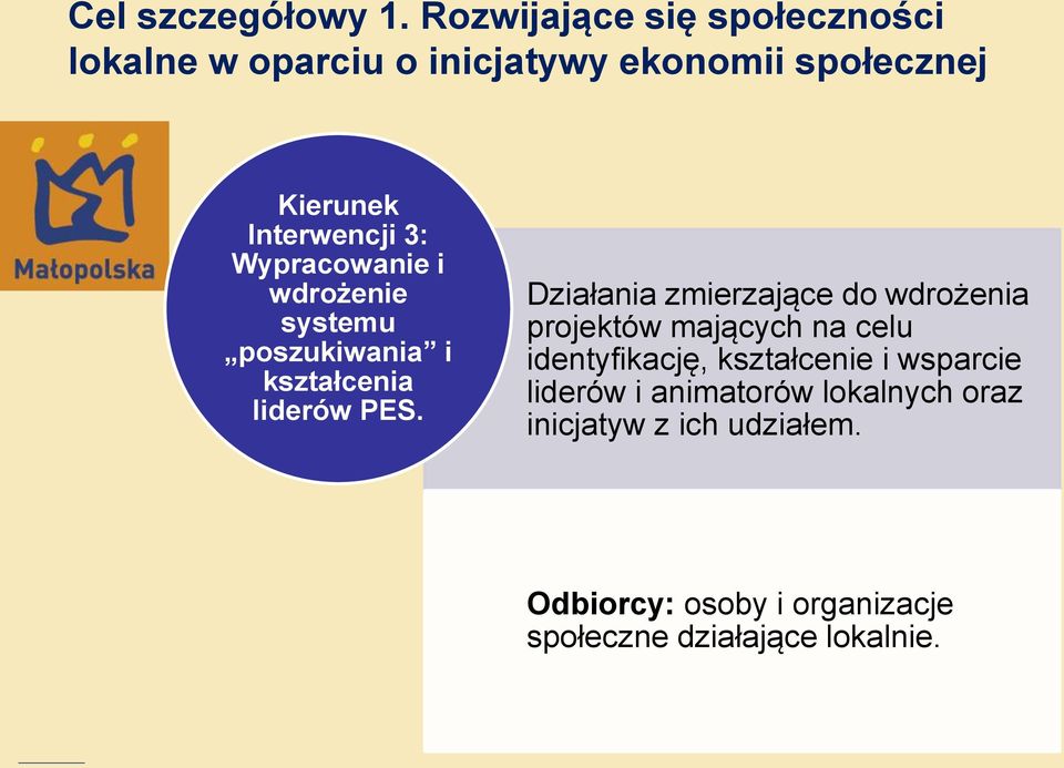 Wypracowanie i wdrożenie systemu poszukiwania i kształcenia liderów PES.