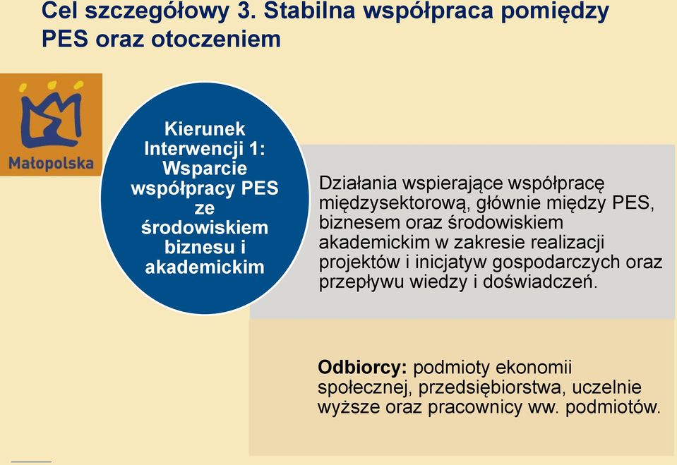 biznesu i akademickim Działania wspierające współpracę międzysektorową, głównie między PES, biznesem oraz