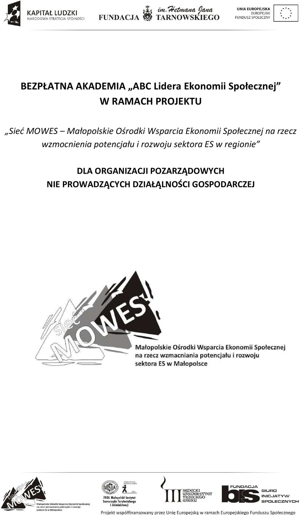 Społecznej na rzecz wzmocnienia potencjału i rozwoju sektora ES w