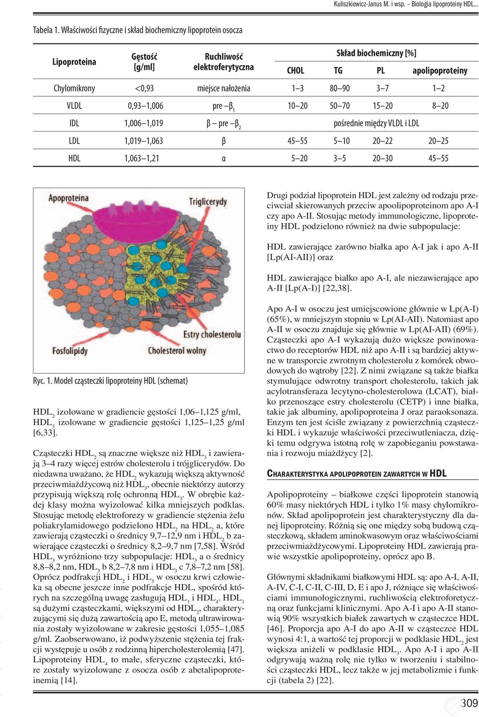 nałożenia 1 3 80 90 3 7 1 2 VLDL 0,93 1,006 pre β 1 10 20 50 70 15 20 8 20 IDL 1,006 1,019 β pre β 2 pośrednie między VLDL i LDL LDL 1,019 1,063 β 45 55 5 10 20 22 20 25 HDL 1,063 1,21 α 5 20 3 5 20