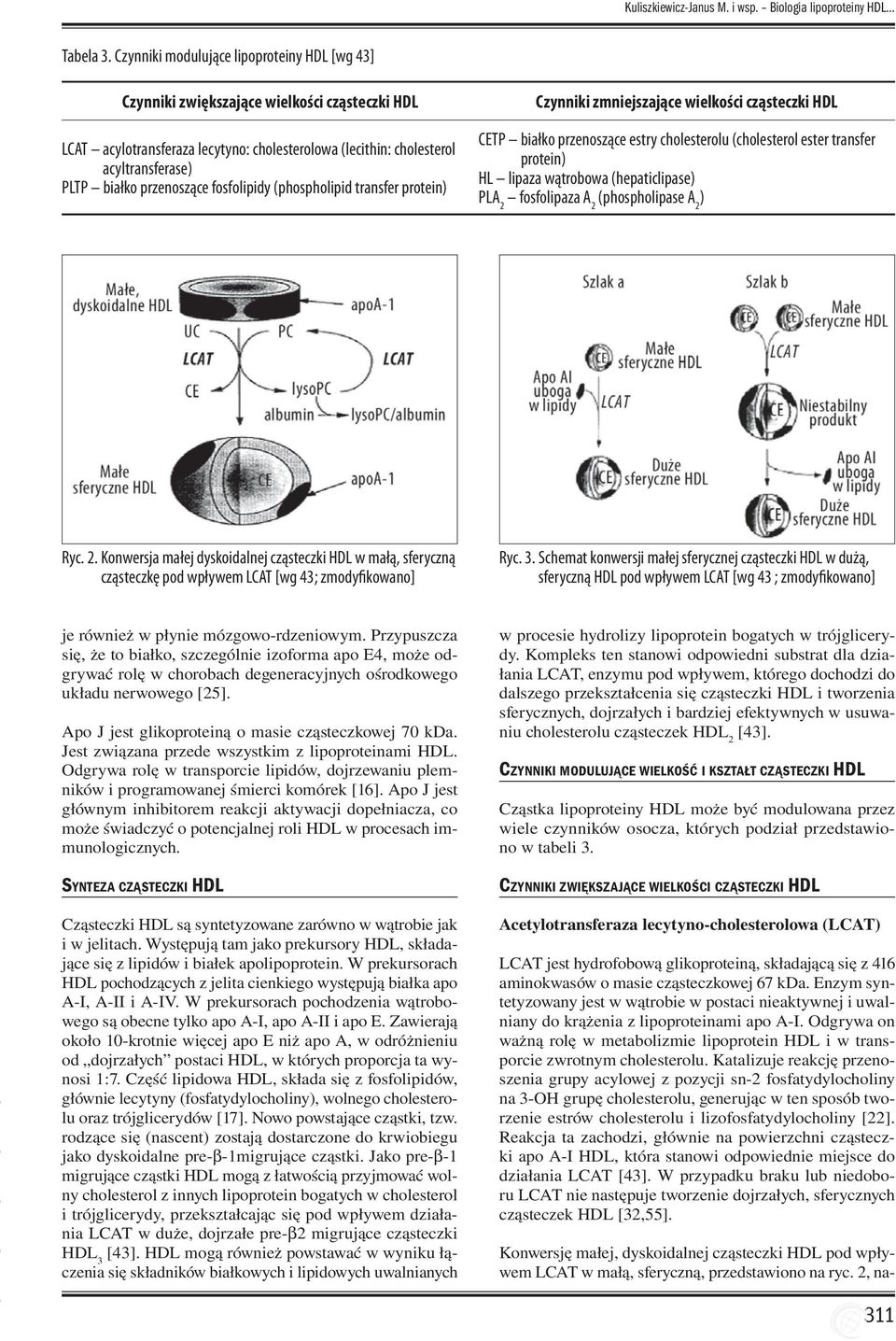 przenoszące fosfolipidy (phospholipid transfer protein) Czynniki zmniejszające wielkości cząsteczki HDL CETP białko przenoszące estry cholesterolu (cholesterol ester transfer protein) HL lipaza