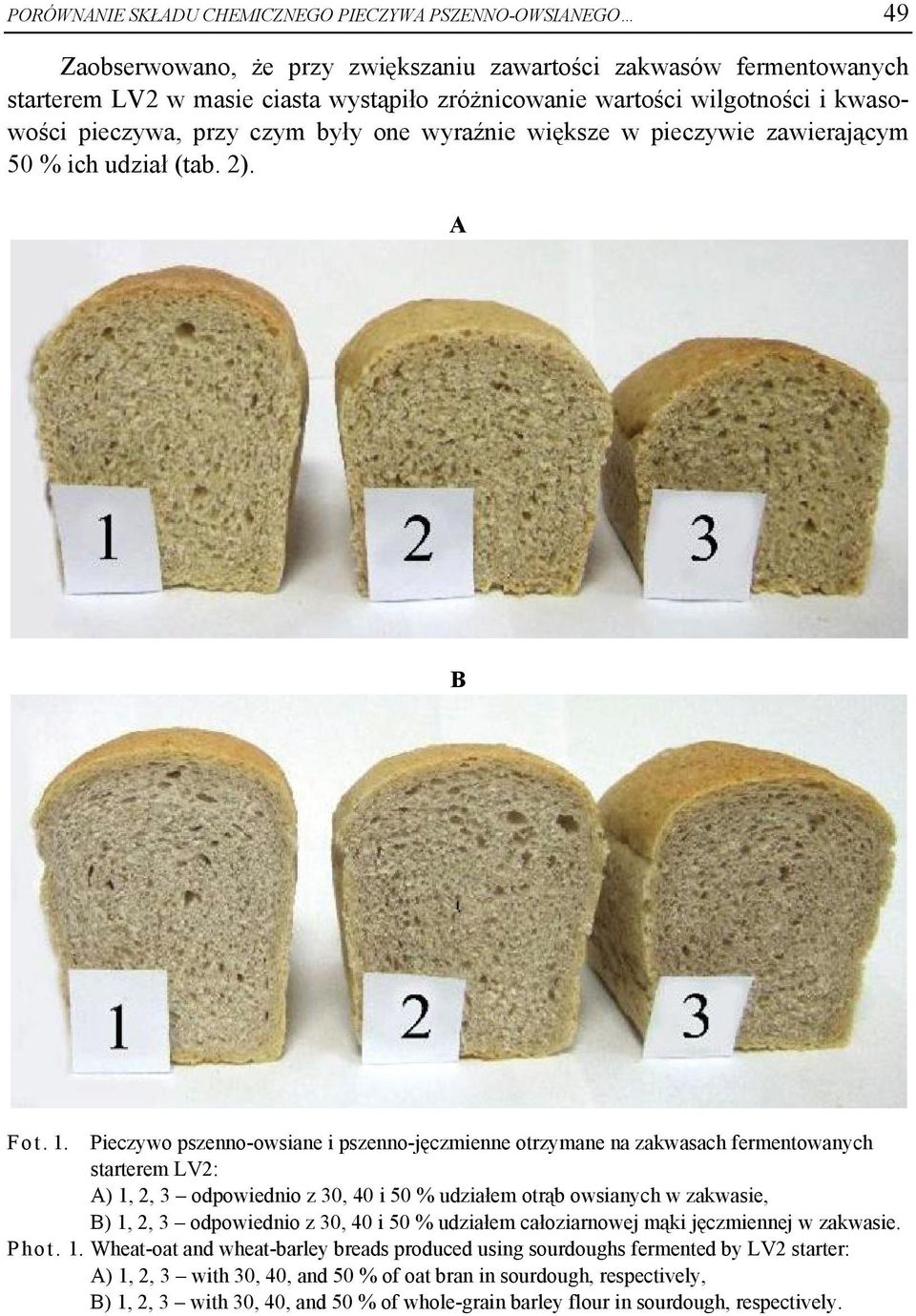 Pieczywo pszenno-owsiane i pszenno-jęczmienne otrzymane na zakwasach fermentowanych starterem LV2: A) 1, 2, 3 odpowiednio z 30, 40 i 50 % udziałem otrąb owsianych w zakwasie, B) 1, 2, 3 odpowiednio z