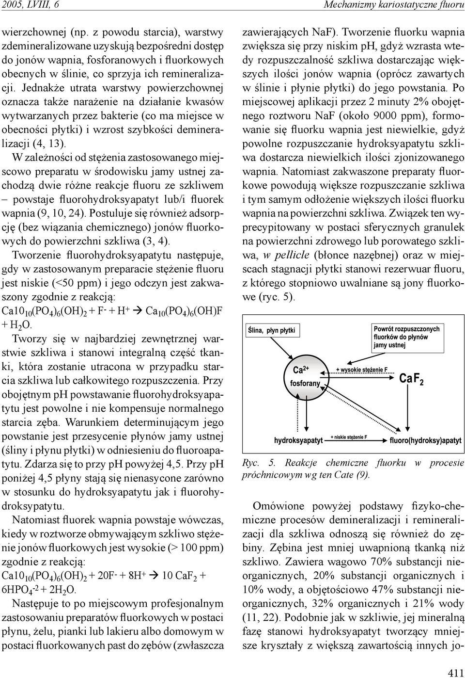Jednakże utrata warstwy powierzchownej oznacza także narażenie na działanie kwasów wytwarzanych przez bakterie (co ma miejsce w obecności płytki) i wzrost szybkości demineralizacji (4, 13).