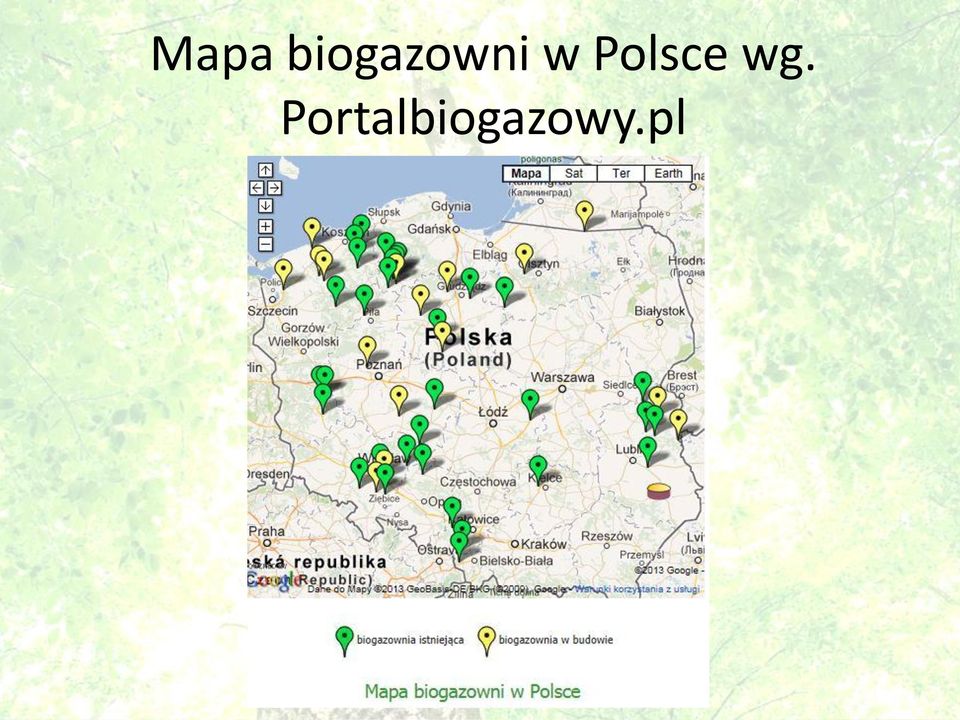 w Polsce wg.