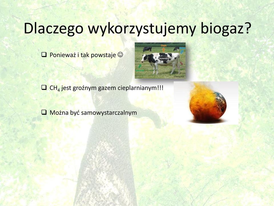 jest groźnym gazem