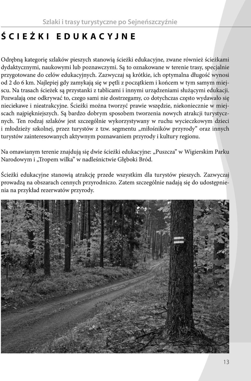 Najlepiej gdy zamykają się w pętli z początkiem i końcem w tym samym miejscu. Na trasach ścieżek są przystanki z tablicami i innymi urządzeniami służącymi edukacji.