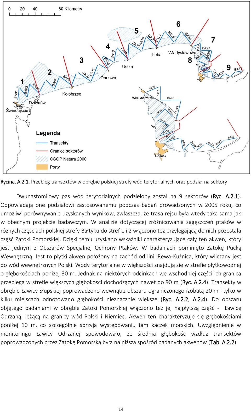 badawczym. W analizie dotyczącej zróżnicowania zagęszczeń ptaków w różnych częściach polskiej strefy Bałtyku do stref 1 i 2 włączono też przylegającą do nich pozostała część Zatoki Pomorskiej.
