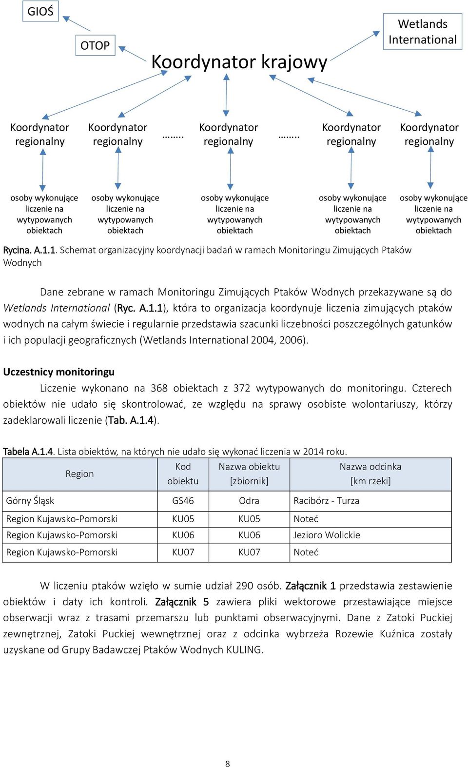 . Koordynator regionalny Koordynator regionalny osoby wykonujące liczenie na wytypowanych obiektach osoby wykonujące liczenie na wytypowanych obiektach osoby wykonujące liczenie na wytypowanych