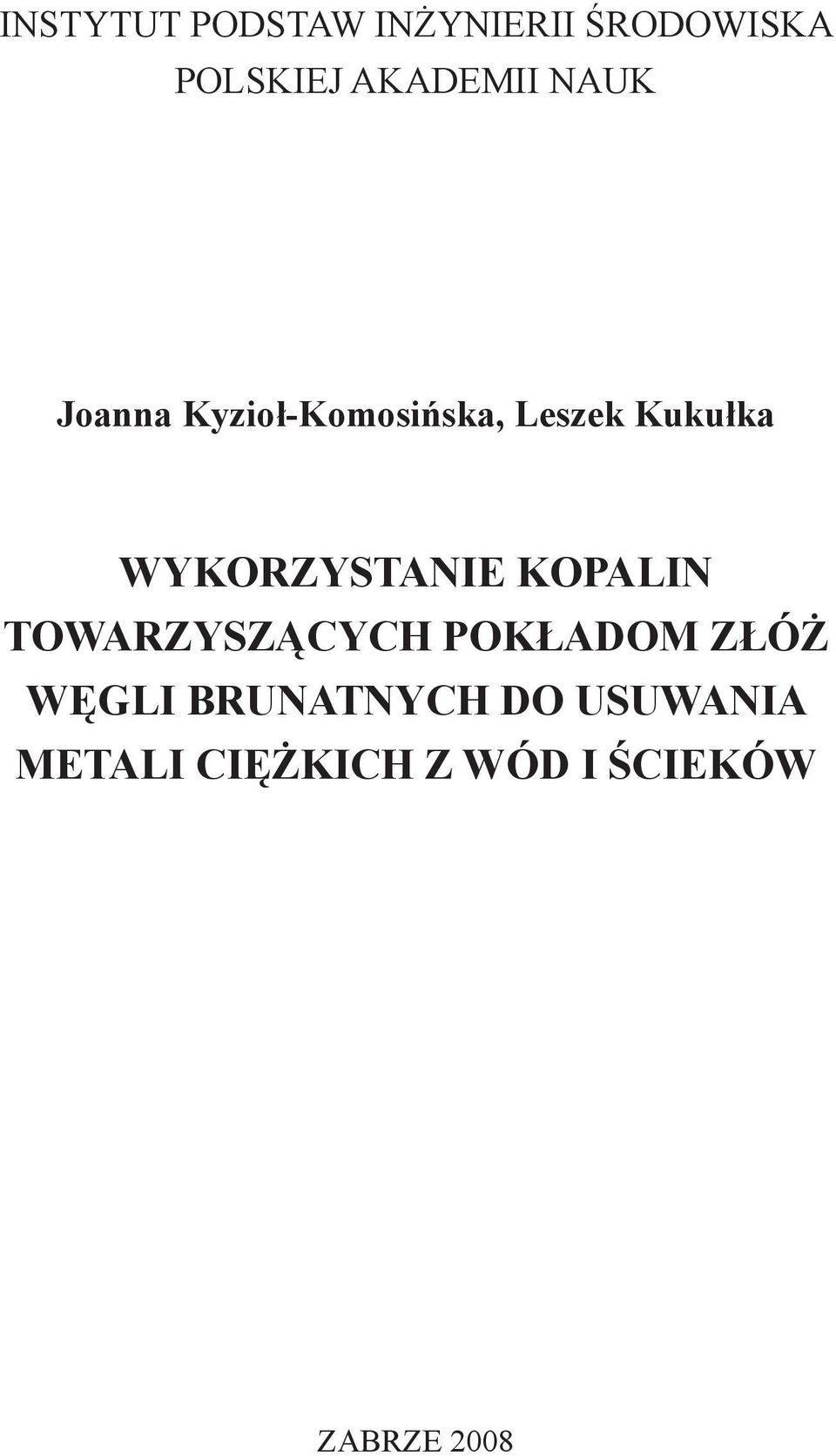 WYKORZYSTANIE KOPALIN TOWARZYSZĄCYCH POKŁADOM ZŁÓŻ WĘGLI