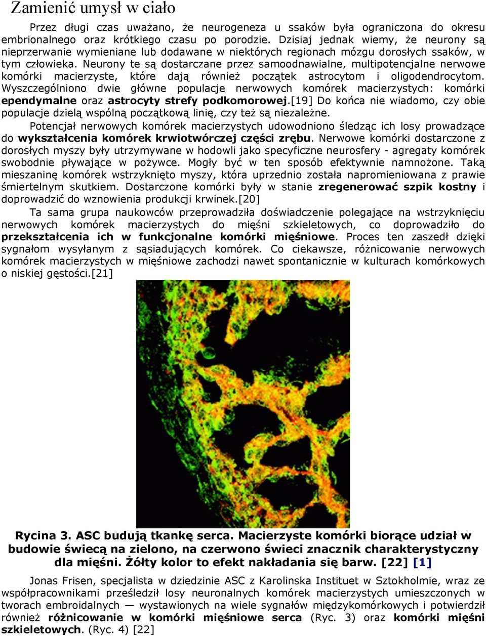 Neurony te są dostarczane przez samoodnawialne, multipotencjalne nerwowe komórki macierzyste, które dają również początek astrocytom i oligodendrocytom.