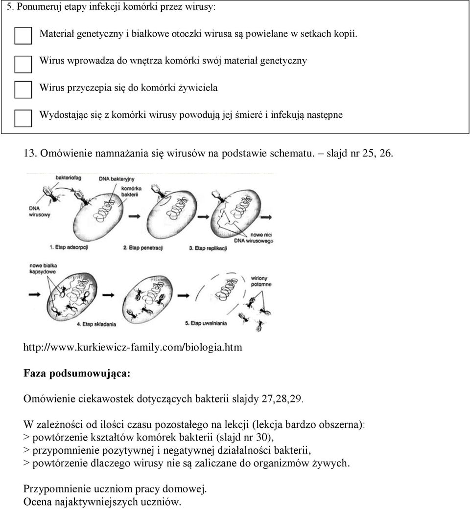 Omówienie namnażania się wirusów na podstawie schematu. slajd nr 25, 26. http://www.kurkiewicz-family.com/biologia.htm Faza podsumowująca: Omówienie ciekawostek dotyczących bakterii slajdy 27,28,29.