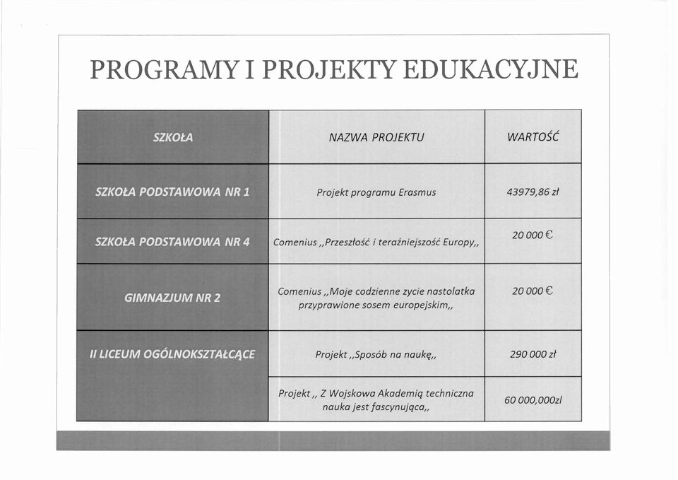 codzienne zycie nastolatka przyprawione sosem europejskim" 20 000 e Projekt "Sposób