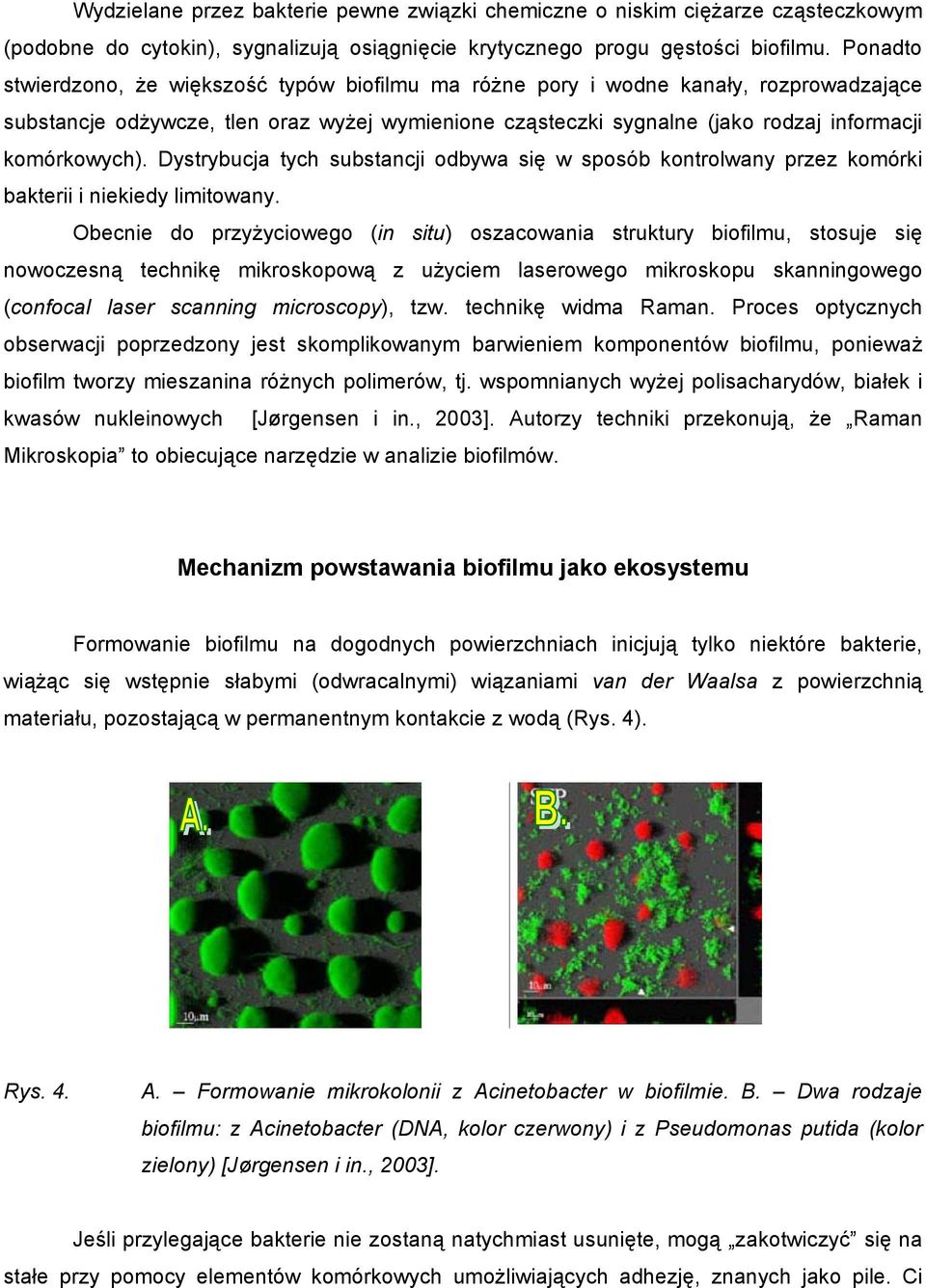 Dystrybucja tych substancji odbywa się w sposób kontrolwany przez komórki bakterii i niekiedy limitowany.