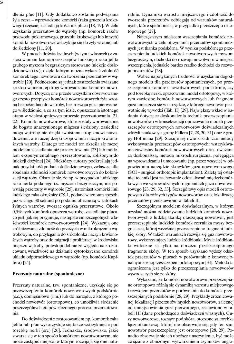 W pracach doêwiadczalnych (w tym i w asnych) z zastosowaniem ksenoprzeszczepów ludzkiego raka jelita grubego myszom bezgrasiczym stosowano iniekcje doêledzionowe (i.s.), dzi ki którym mo na wykazaç zdolnoêç komórek tego nowotworu do tworzenia przerzutów w wàtrobie [20].