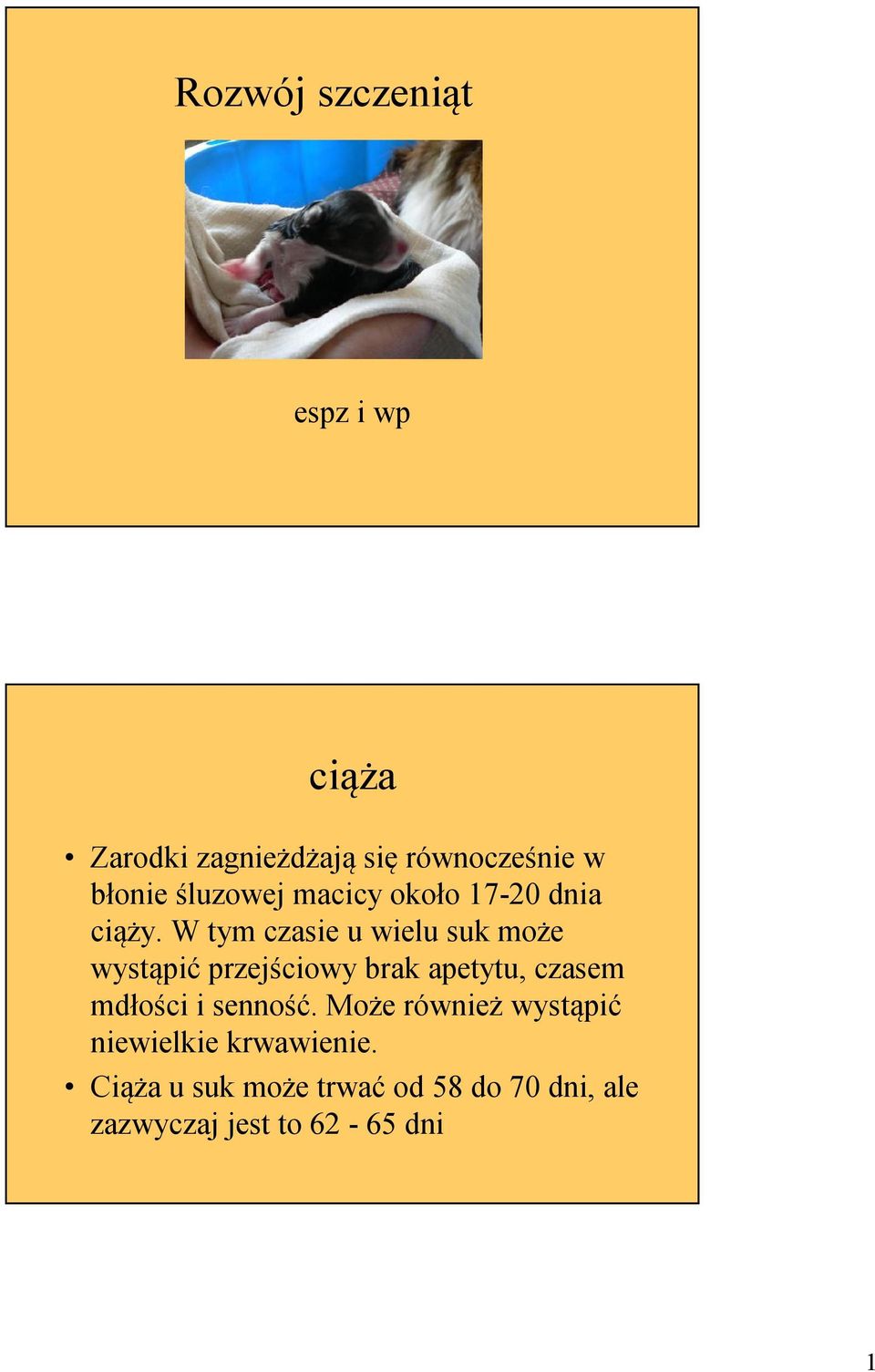 W tym czasie u wielu suk może wystąpić przejściowy brak apetytu, czasem mdłości i