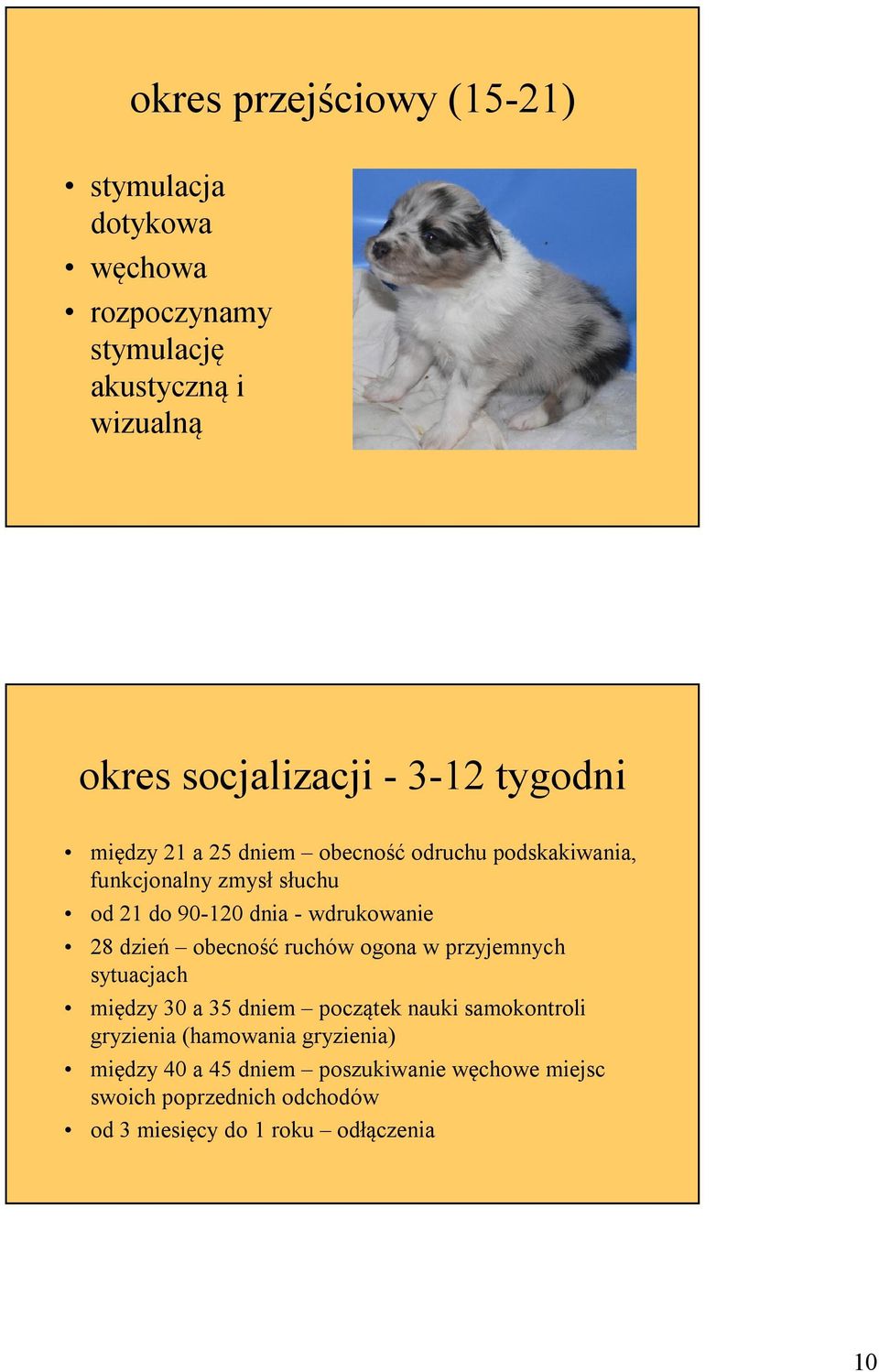 wdrukowanie 28 dzień obecność ruchów ogona w przyjemnych sytuacjach między 30 a 35 dniem początek nauki samokontroli