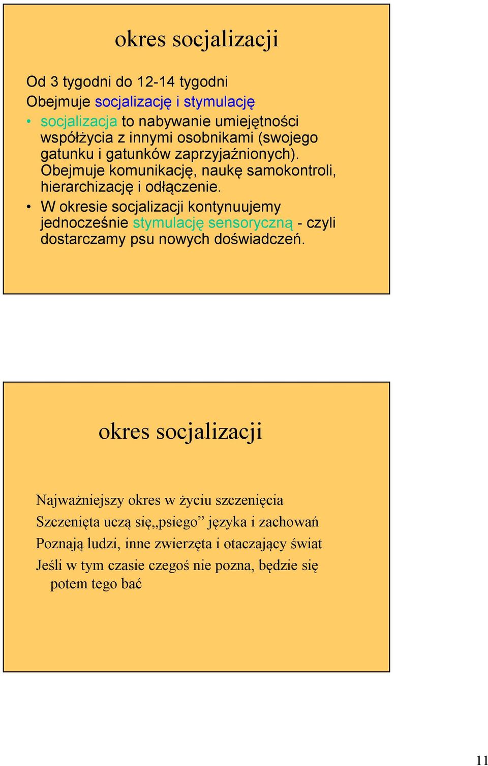 W okresie socjalizacji kontynuujemy jednocześnie stymulację sensoryczną - czyli dostarczamy psu nowych doświadczeń.