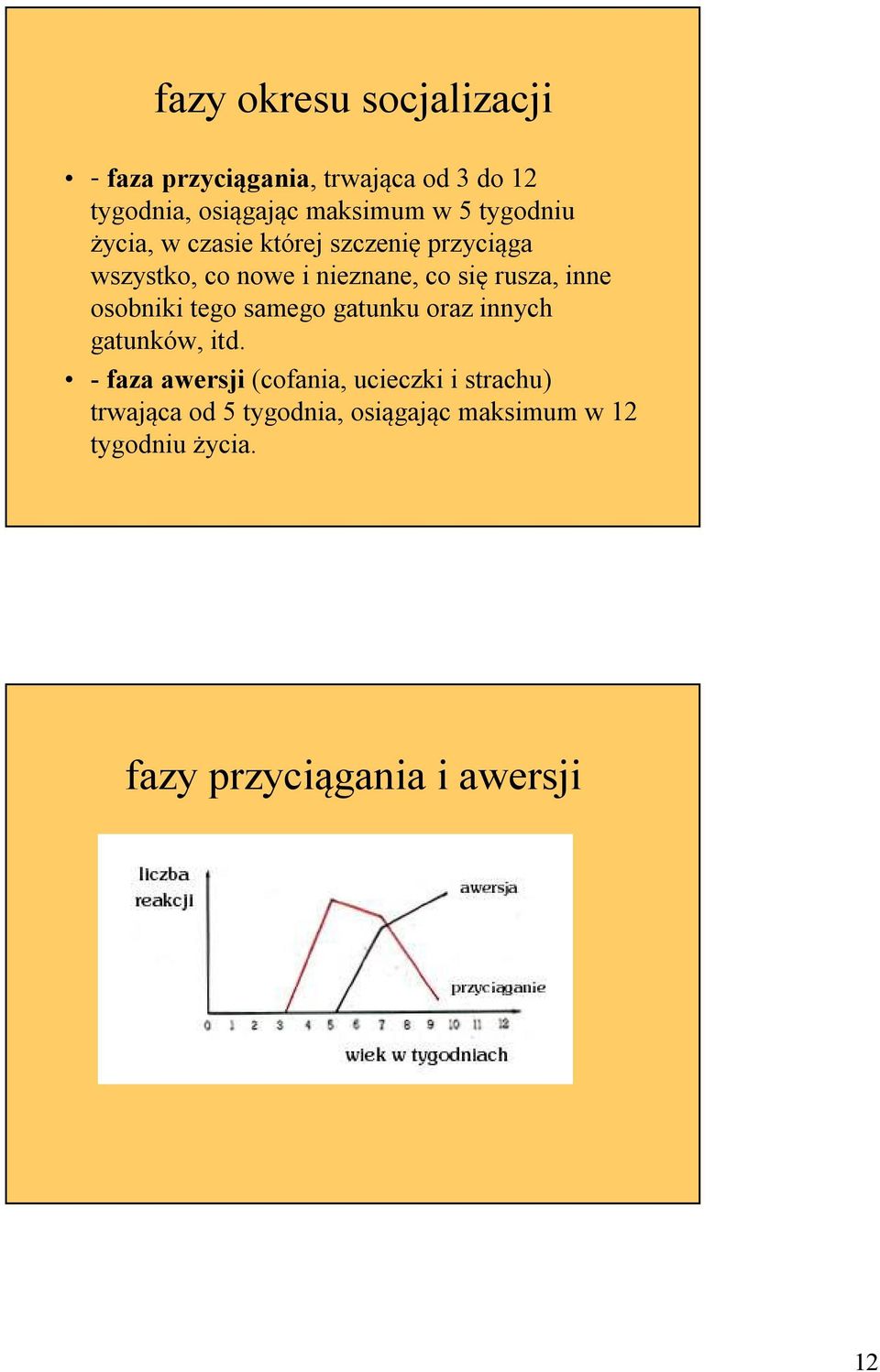 inne osobniki tego samego gatunku oraz innych gatunków, itd.