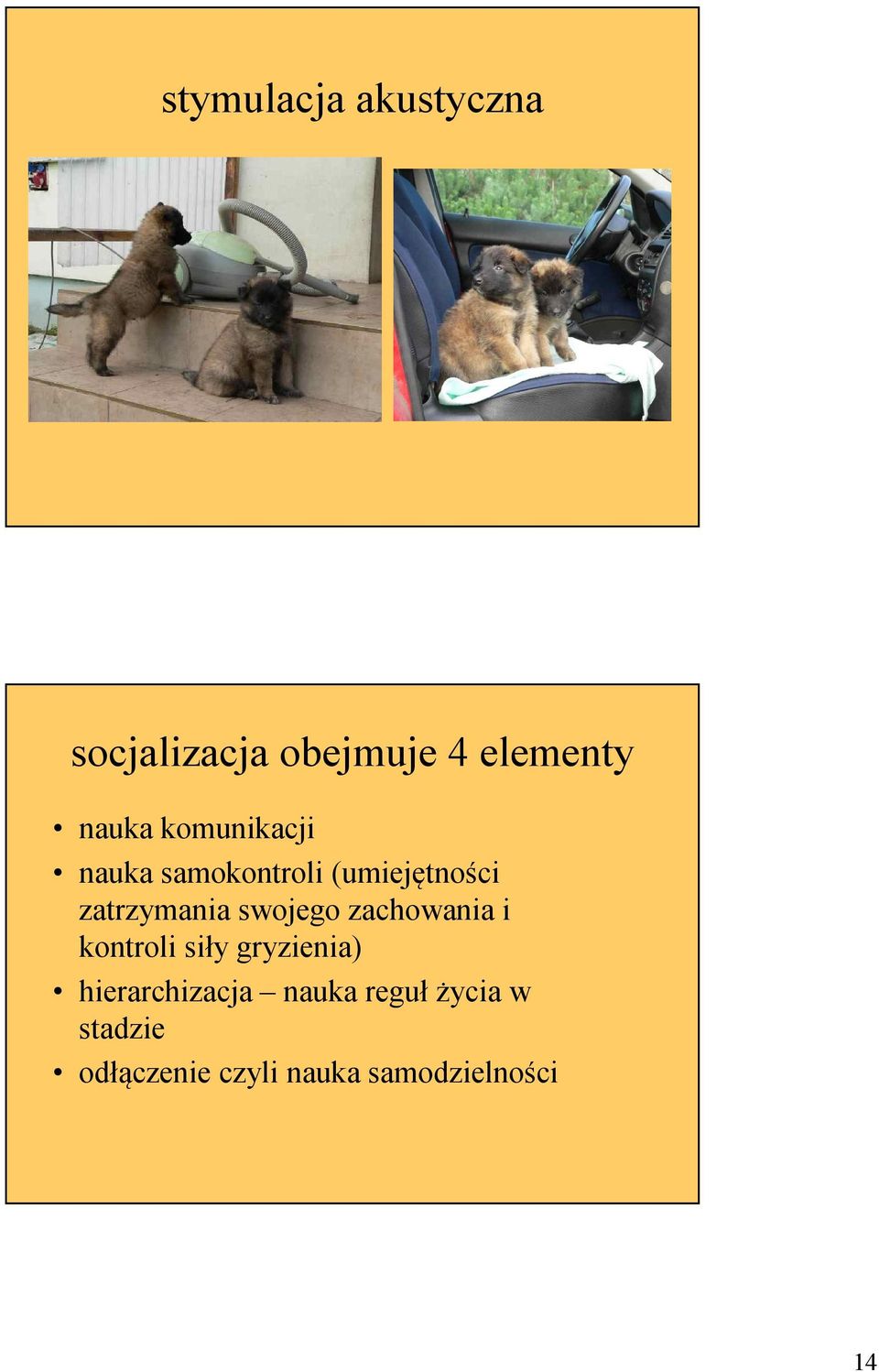swojego zachowania i kontroli siły gryzienia) hierarchizacja