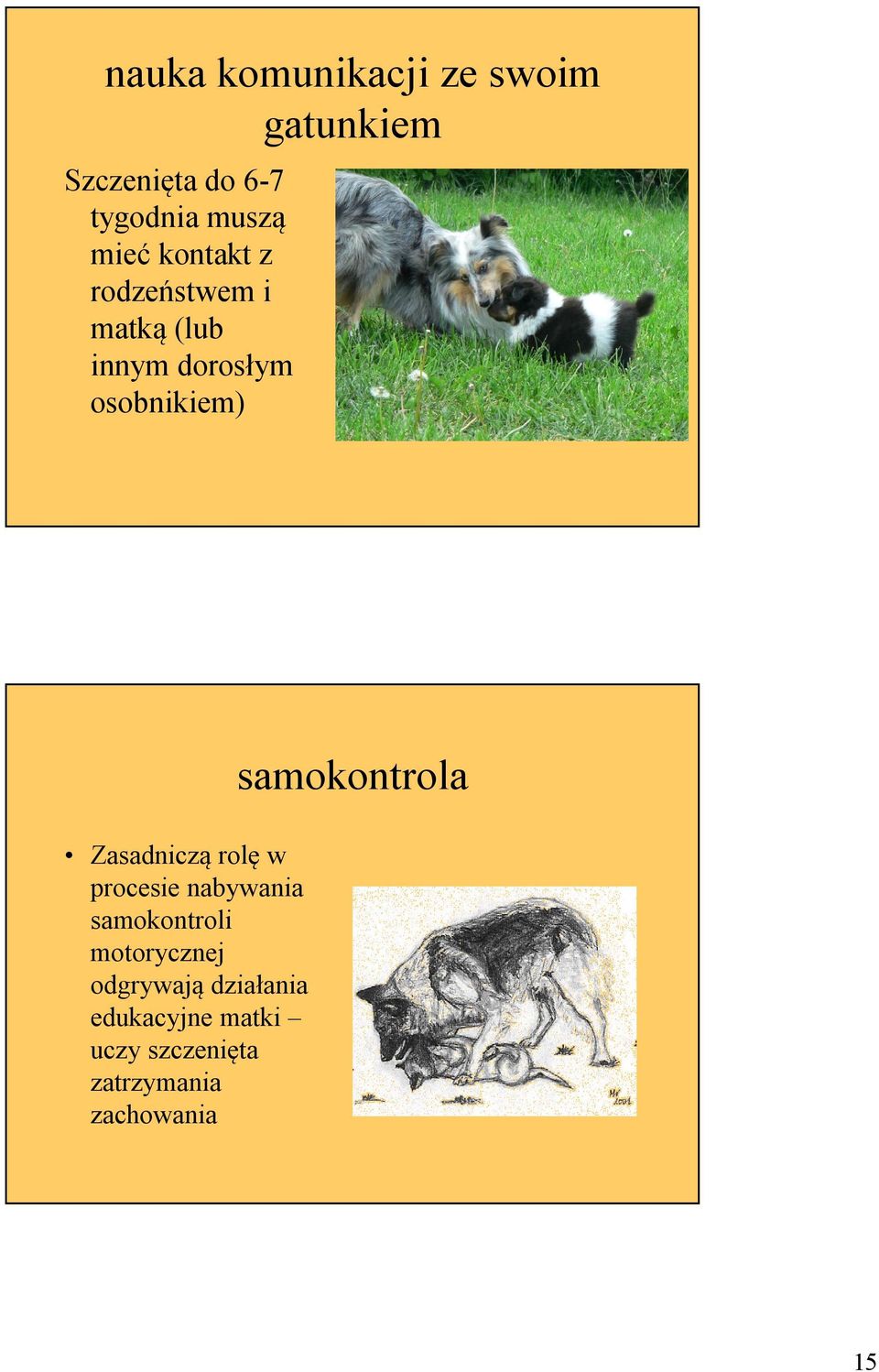 samokontrola Zasadniczą rolę w procesie nabywania samokontroli