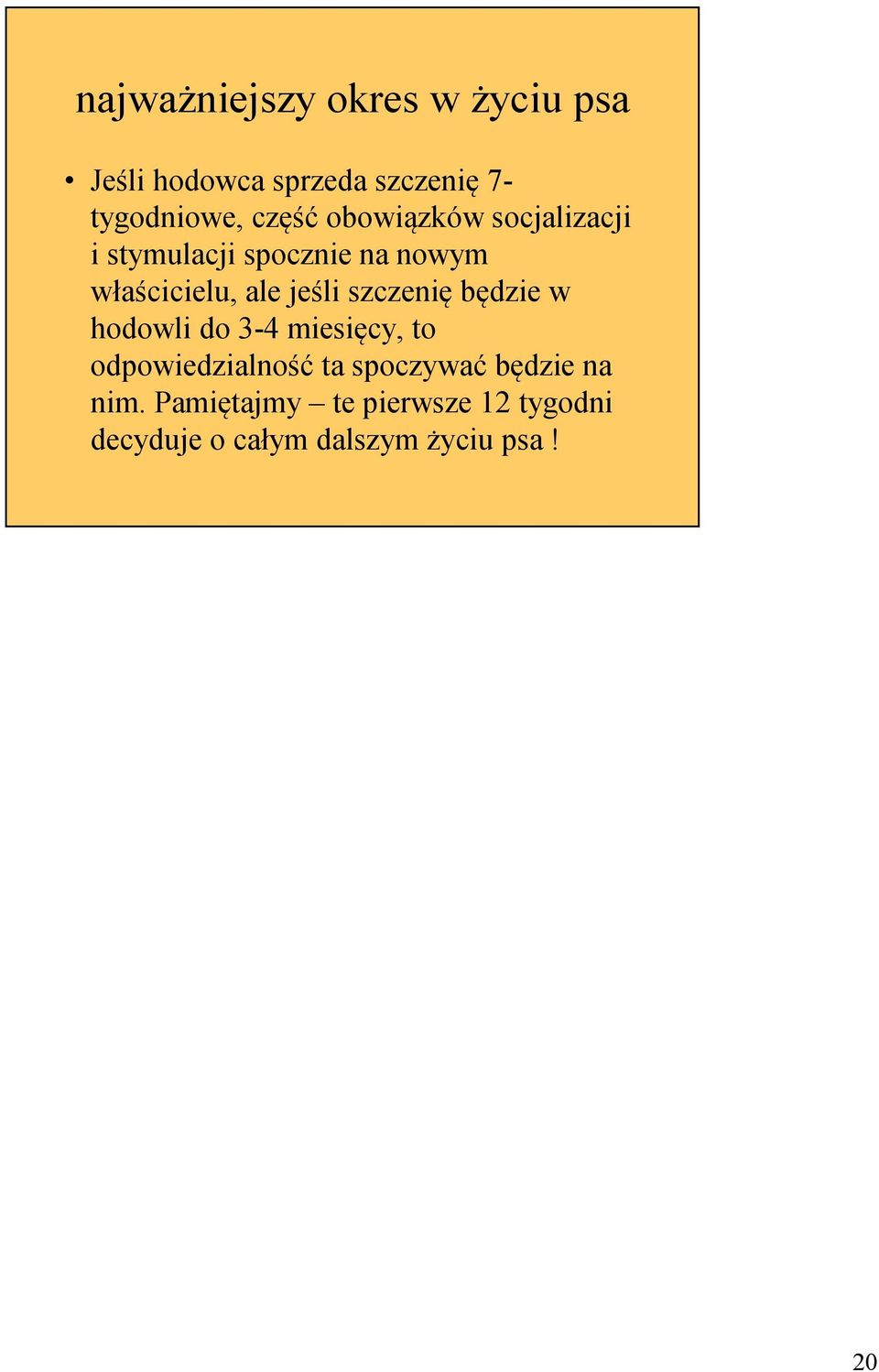 jeśli szczenię będzie w hodowli do 3-4 miesięcy, to odpowiedzialność ta spoczywać