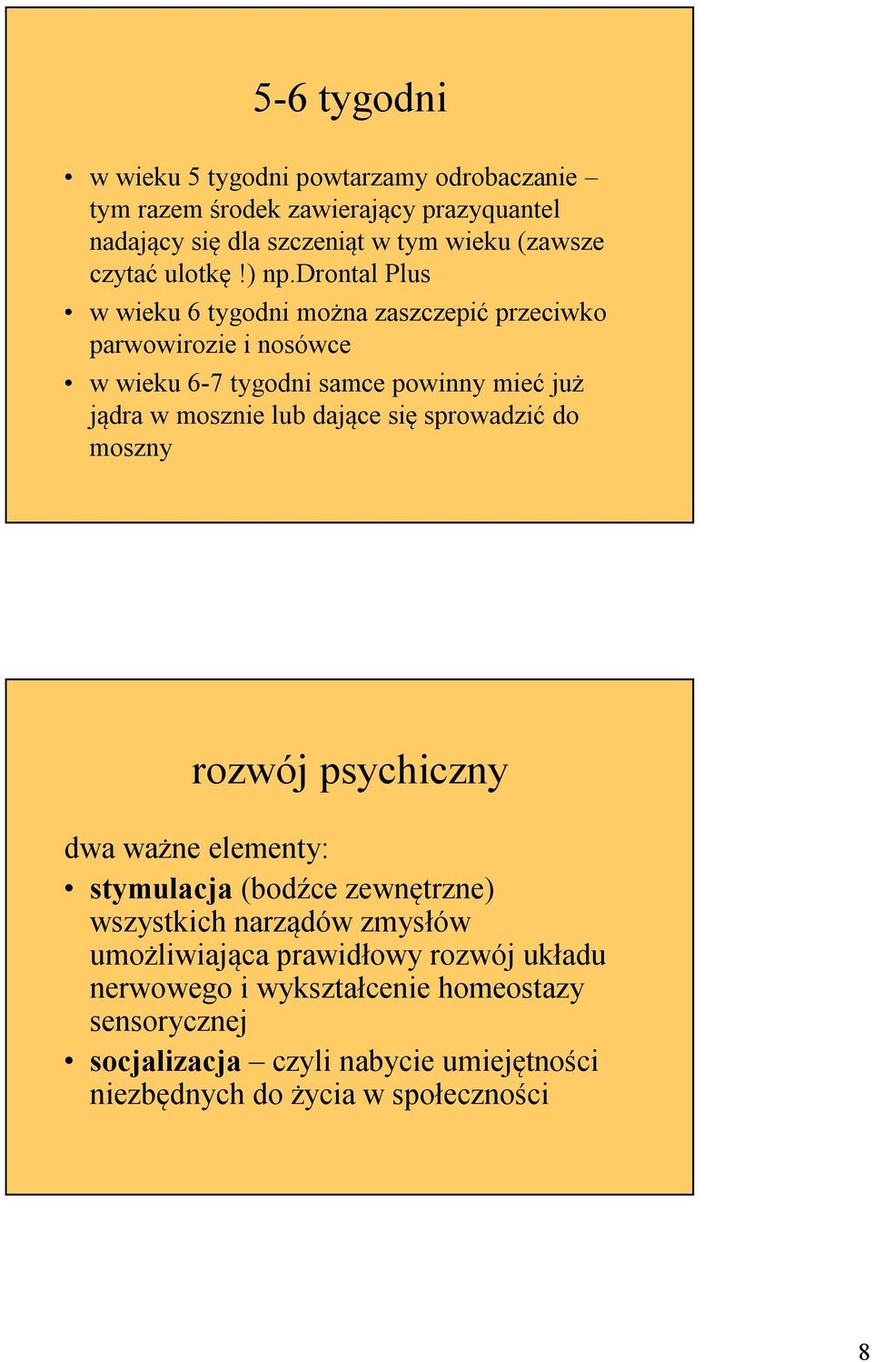 drontal Plus w wieku 6 tygodni można zaszczepić przeciwko parwowirozie i nosówce w wieku 6-7 tygodni samce powinny mieć już jądra w mosznie lub dające