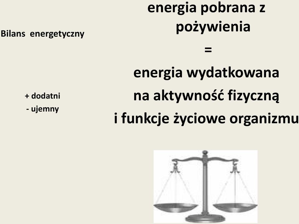 pożywienia = energia wydatkowana