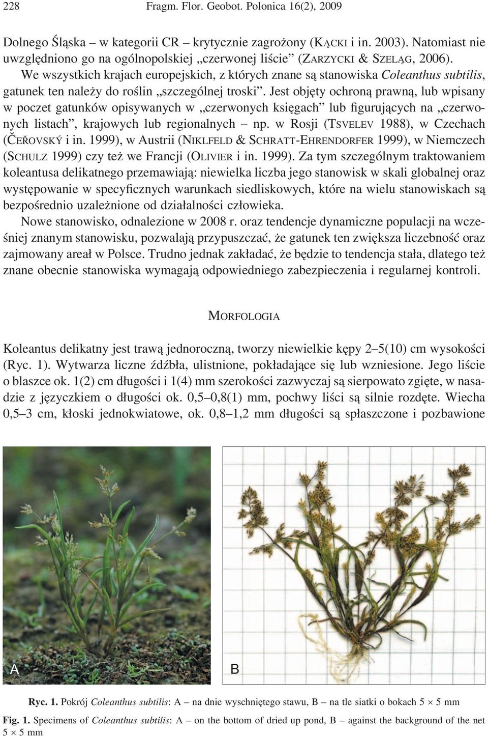 We wszystkich krajach europejskich, z których znane są stanowiska Coleanthus subtilis, gatunek ten należy do roślin szczególnej troski.