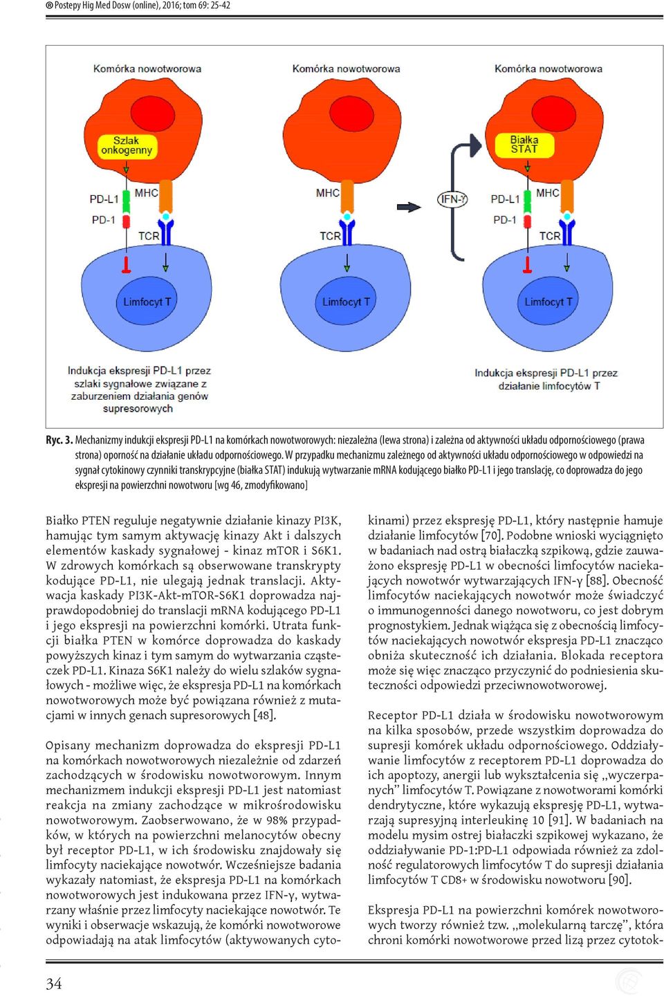 W przypadku mechanizmu zależnego od aktywności układu odpornościowego w odpowiedzi na sygnał cytokinowy czynniki transkrypcyjne (białka STAT) indukują wytwarzanie mrna kodującego białko PD-L1 i jego