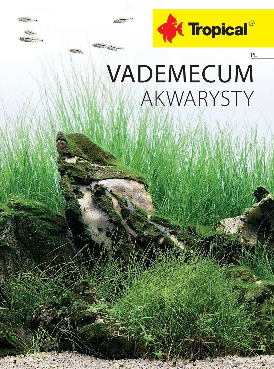 AKWARYSTY