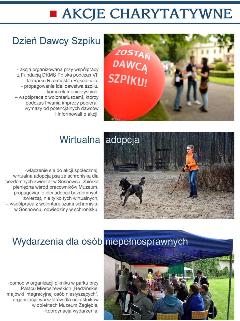 Wirtualna adopcja -włączenie się do akcji społecznej, wirtualna adopcja psa ze schroniska dla bezdomnych zwierząt w Sosnowcu, zbiórka pieniężna wśród pracowników Muzeum, - propagowanie idei adopcji