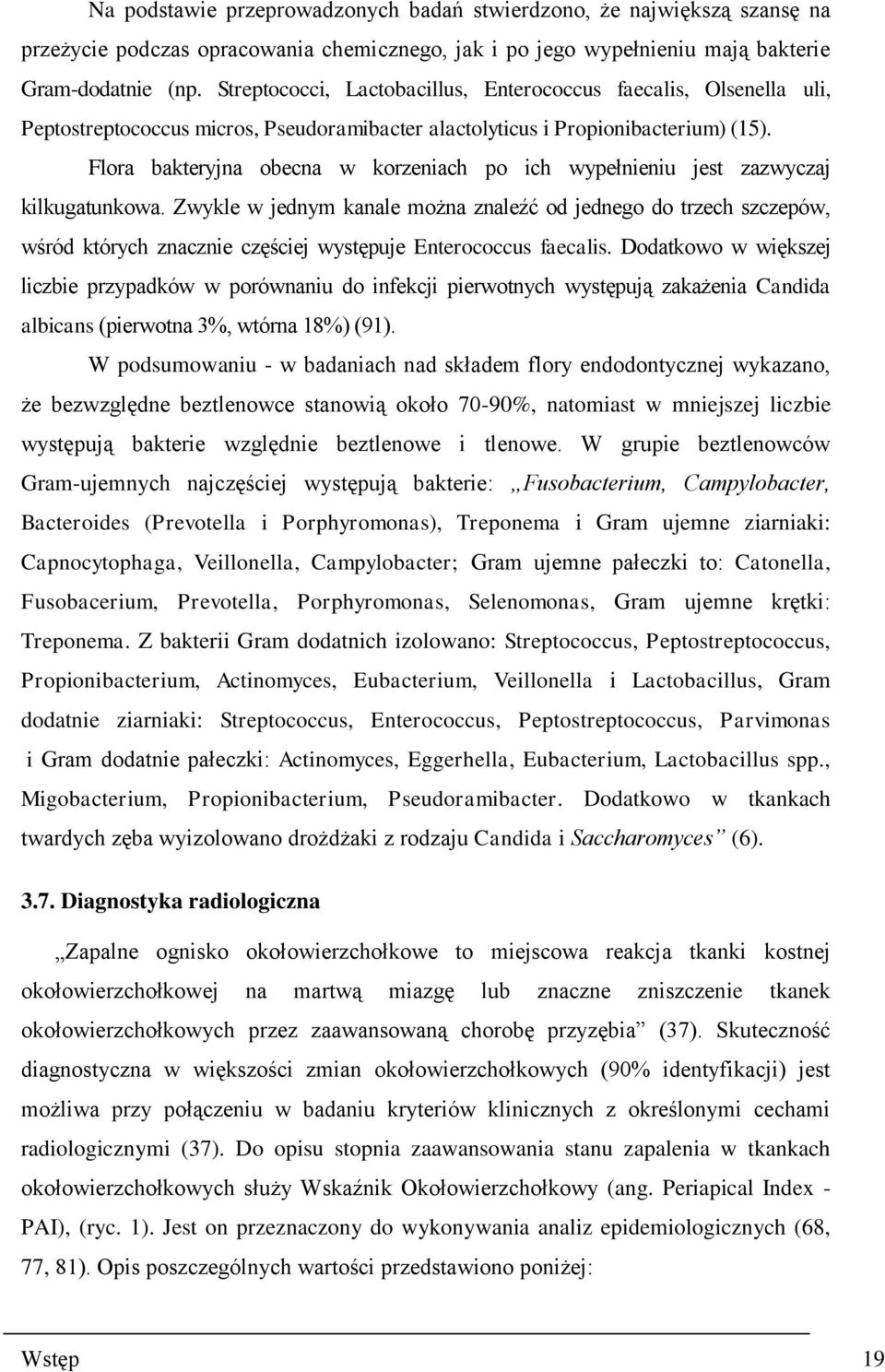 Flora bakteryjna obecna w korzeniach po ich wypełnieniu jest zazwyczaj kilkugatunkowa.